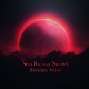 Finnegans Wake - Chronicles of the Stars ()