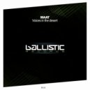 Maat - Voices in the Desert (Original Mix)