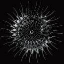 Mark Hoffen - Sea Of Voices (Alfa Romero Extended Remix)
