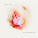Cold Blue - A Beautiful Mind (Extended Mix)