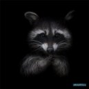 Dj Vl Raccoon - Tokyo (Original)