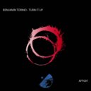 Benjamin Torino - The Past