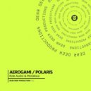 Kole Audro - Aerogami