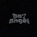 SS7 - ANGEL