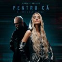 Andia x Deliric - Pentru ca (Dj Dark & Mentol Remix) (Extended)