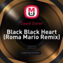 David Usher - Black Black Heart (Roma Mario Remix)