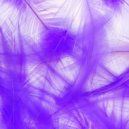 SMOLKEYSES - Purple ()