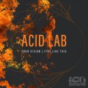 Acid Lab - Your Vision (Original Mix)