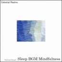 Sleep BGM Mindfulness - Enchanted Forest (Original Mix)