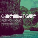 Kaliko Flow - Forbidden Fruit (Original Mix)