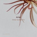 Ariet - You Are (Original Mix)