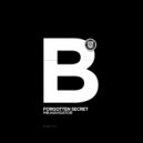 Mr.Navigator - Forgotten Secret (Original Mix)