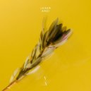 Lexer - Amei