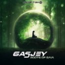 Gasjey - Feeling Stars ()