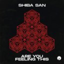Shiba San - Are You Feeling This