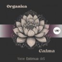 Organica - Calma (Yane Remix)