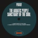 The Aquatic People, Shunt - Sanctuary Of The Soul (Shunt Remix)