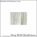 Sleep BGM Mindfulness - Spiritual Reflection (Original Mix)