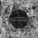 Spanless & Dafinchi - Shift of Consciousness (Original Mix)