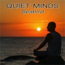 Quiet Minds - Above the Clouds