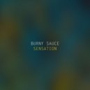 Burny Sauce - Sensation (Radio edit)