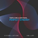 Temple One & Dave Raval - Perfect Synergy (Extended Mix)