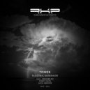 Tomek - Electric Serenade (Original Mix)