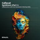 Paul Hazendonk, Callecat - Unified Formulas