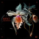 AFFKT - Vortex