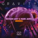 Richard Grey, Mark James - Gravity (MJ\'s Trapped Out Remix)