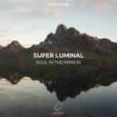 Super Luminal - Soul in the Mirror