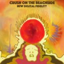 New Digital Fidelity - Crush On The Beachside (K15 Remix)