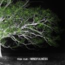 Max Cue - Violated