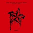Andy Woldman and Katrin Souza - Fragile Star (Eric Rose Remix)