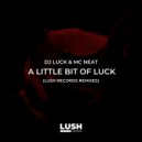 DJ Luck & MC Neat - A Little Bit of Luck Remixes (Darrell Lee House Remix)