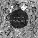 Shebuzzz - White Noise