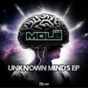 The Mole - The Unknown (Original Mix)