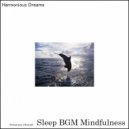 Sleep BGM Mindfulness - Twilight Silhouette