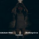 SIBERIAN PROD & shadowpxisxn - PYTARIA ()