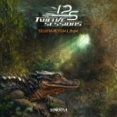 Twelve Sessions - Swampskunk (Original Mix)