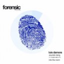 Luis Damora - Into the Room (Original Mix)