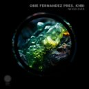 Obie Fernandez & KNBI - Never Ever (Extended Mix)