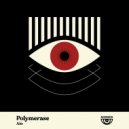 AIO - Polymerase