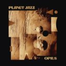 Opius - Mezzo Forte