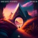 Dario Suerte feat. Peter Nutile - Nothing To Me (Original Mix)