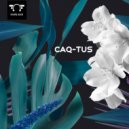 Caq-Tus - Like You (Original Mix)