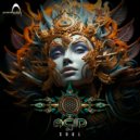 ACID DJ - Soul Fly (Original Mix)