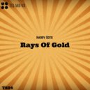 Harry Soto - Rays of Gold (Harry Soto Remix)