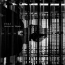 P.T.B.S. - Inside My Head