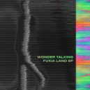 Wonder Talking - Abandoned Souls